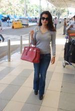 Amisha Patel snapped at airport, Mumbai on 16th Feb 2012 (5).JPG